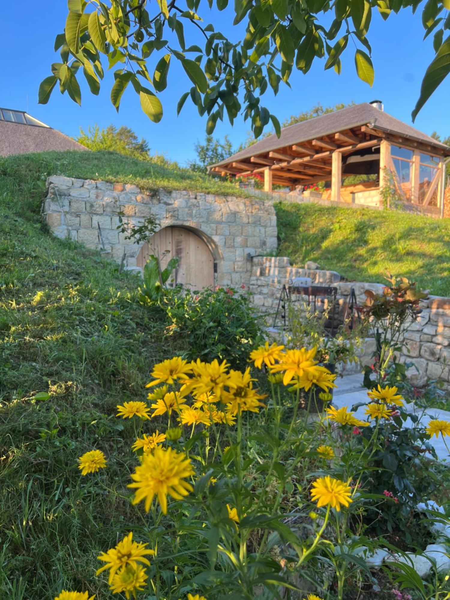 Villa Casa Thymus à Soveja Extérieur photo