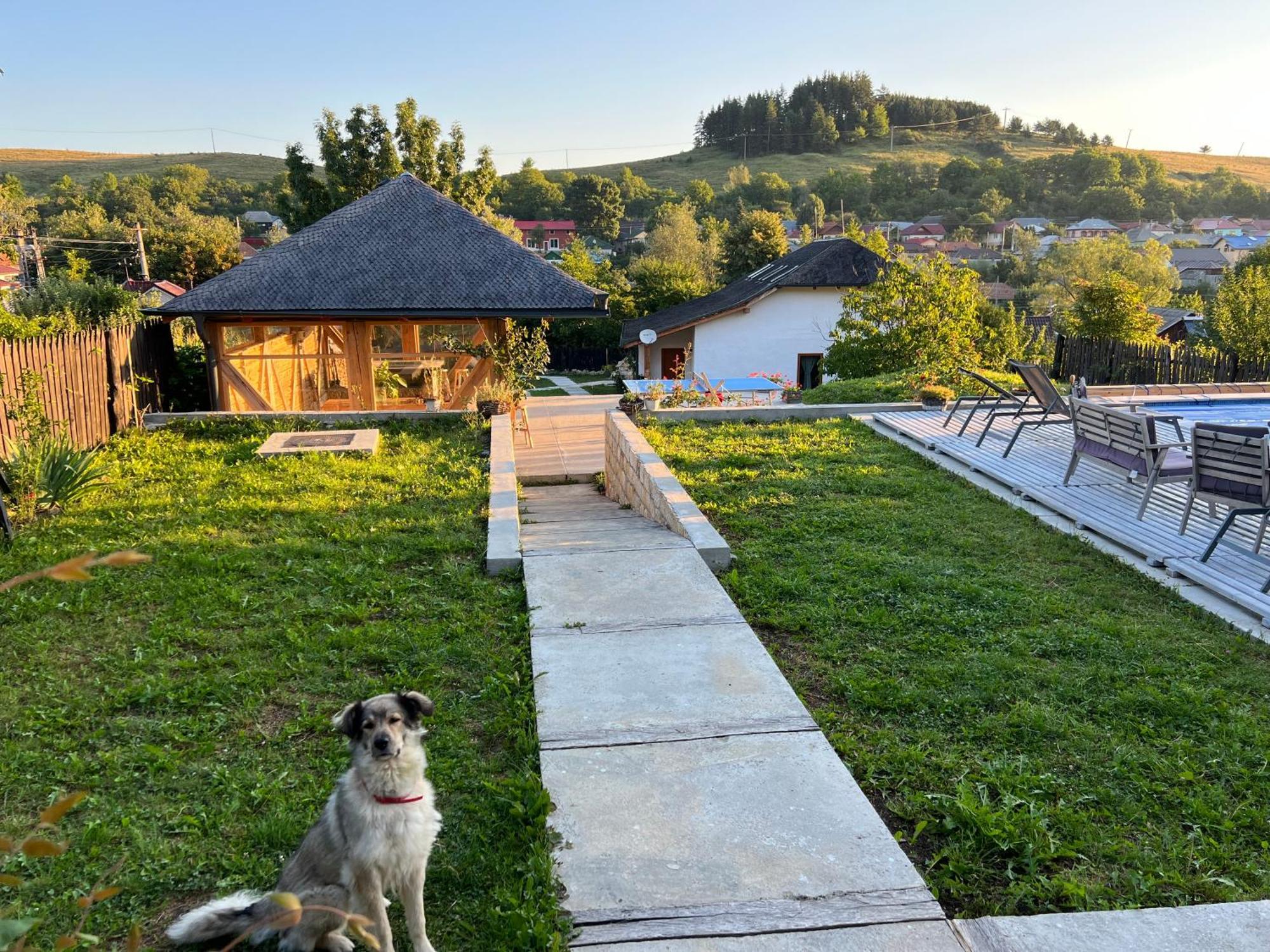 Villa Casa Thymus à Soveja Extérieur photo